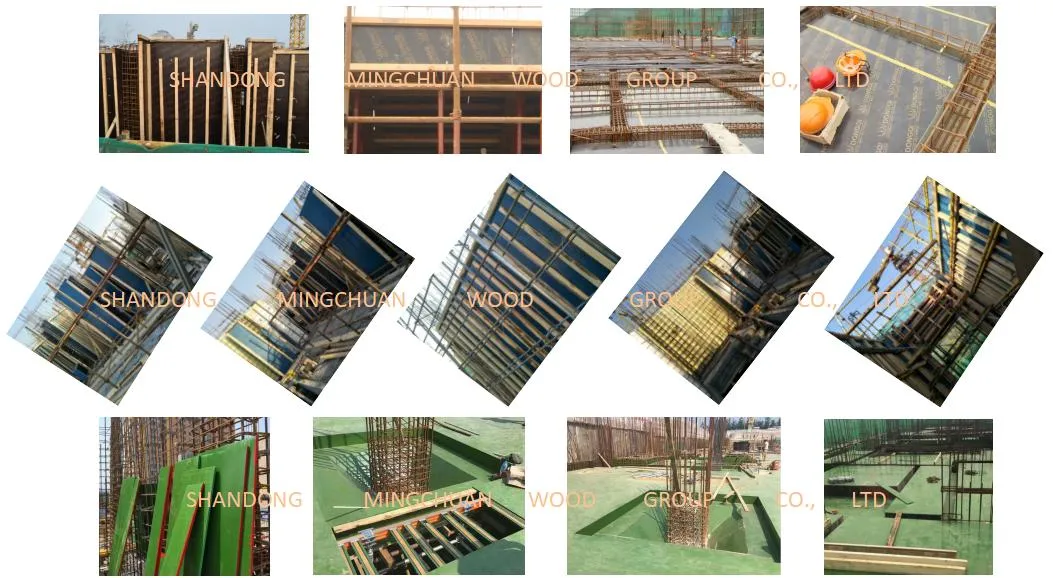 Green PP Plywood Hardwood PVC Plywood Shuttering Plywood Marine Plywood