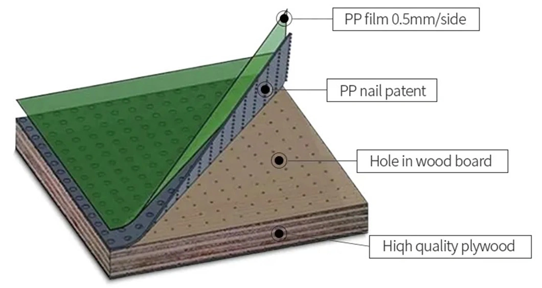 PP Plastic Green Film Faced Plywood Marine Board PVC Plywood