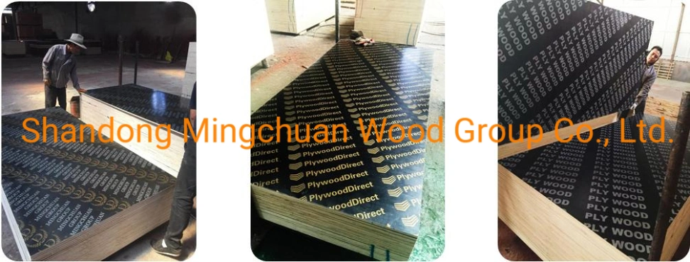 Green PP Plywood Hardwood PVC Plywood Shuttering Plywood Marine Plywood